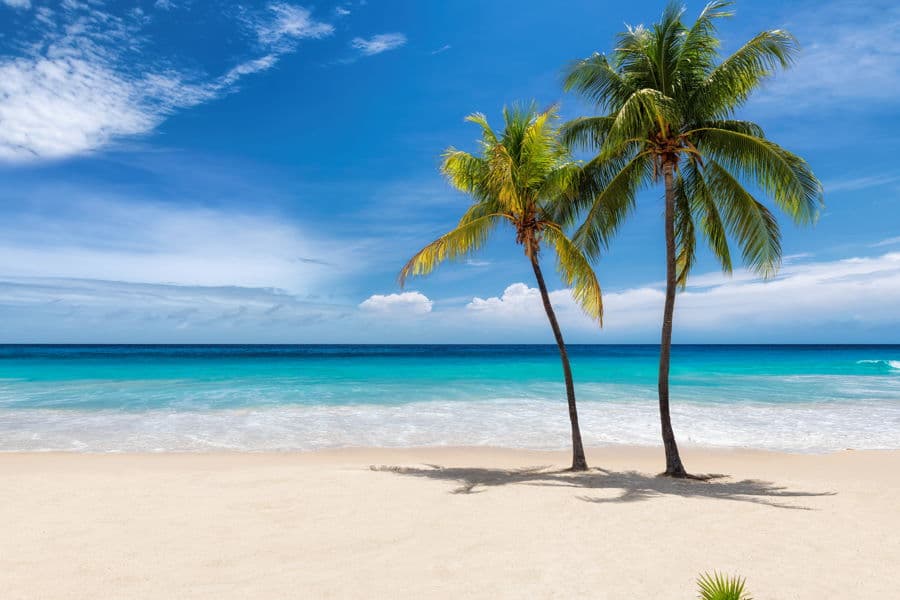 Properties For Sale in Sand Key