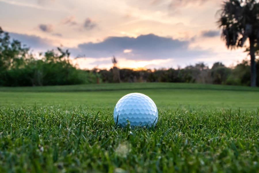 Properties For Sale in East Lake Woodlands