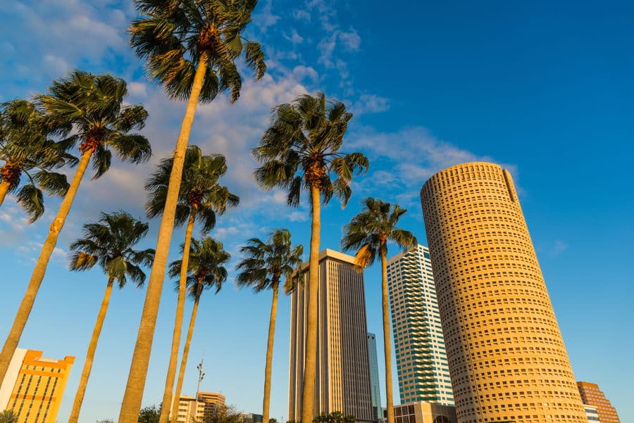 Properties For Sale in Tampa Palms
